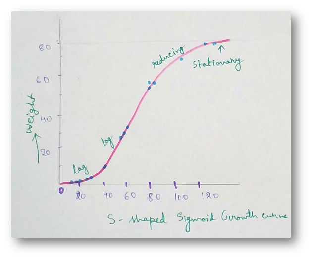 S - Shaped Sigmoid Growth Curve