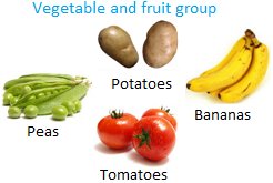 Vegetable and Fruit Group